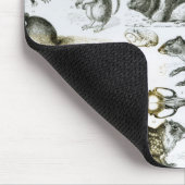 Rodentia- knaagdieren muismat (Hoek)