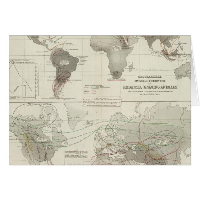 Rodentia, Ruminantia (Voorkant Horizontaal)