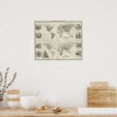 Rodentia, Ruminantia Poster (Keuken)