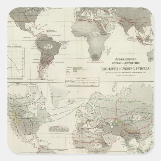 Rodentia, Ruminantia Vierkante Sticker (Voorkant)