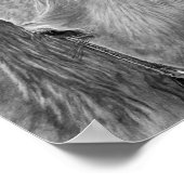 Rodeo afbeelding poster (Hoek)