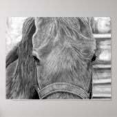 Rodeo afbeelding poster (Voorkant)