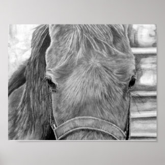 Rodeo afbeelding poster