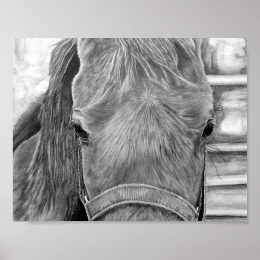 Rodeo afbeelding poster (Voorkant)