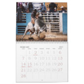 Rodeo Afbeeldingen, 2007, Foto's van ... Kalender (Feb 2027)