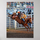 Rodeo Bucking Poster (Voorkant)