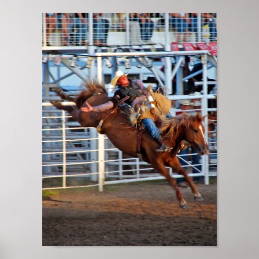 Rodeo Bucking Poster (Voorkant)