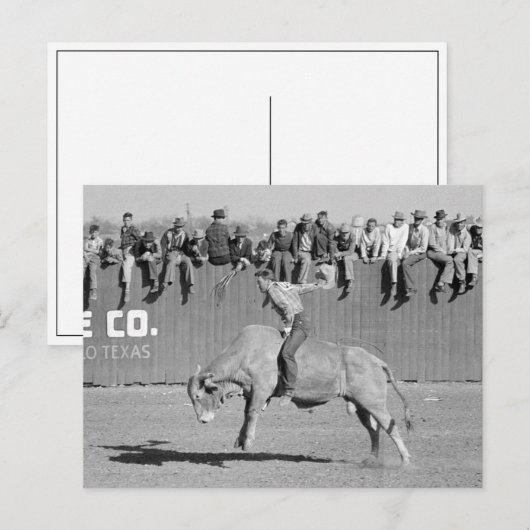 Rodeo Bull Rider, 1940 Briefkaart (Voorkant / Achterkant)