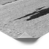 Rodeo Bull Rider, 1940.  foto Poster (Hoek)