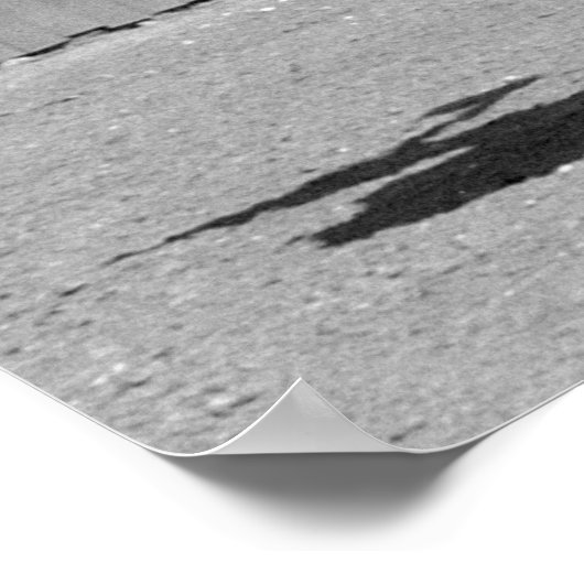 Rodeo Bull Rider, 1940.  foto Poster (Hoek)