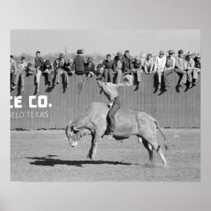 Rodeo Bull Rider, 1940.  foto Poster