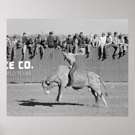 Rodeo Bull Rider, 1940.  foto Poster (Voorkant)