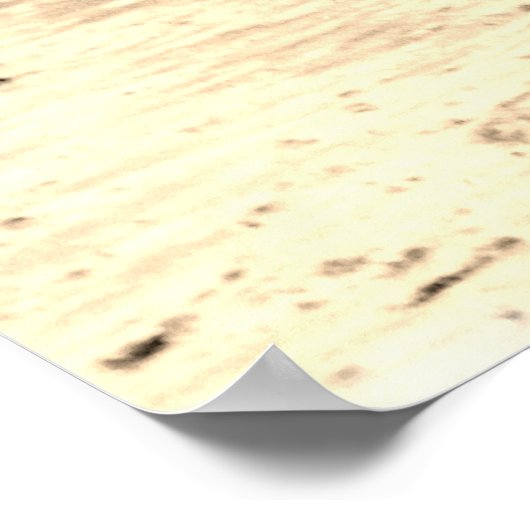 Rodeo Bull Rider Poster (Hoek)