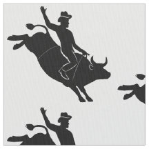 Rodeo: Bull Rider