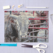 Rodeo Bull Rustic grijs rood land Western Tissuepapier (Craft)