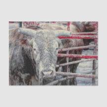 Rodeo Bull Rustic  grijs rood land Western