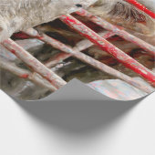 Rodeo Bull Rustic Western land Cadeaupapier (Hoek)