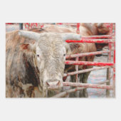 Rodeo Bull Rustic Western land Inpakpapier Vel (Voorkant 3)