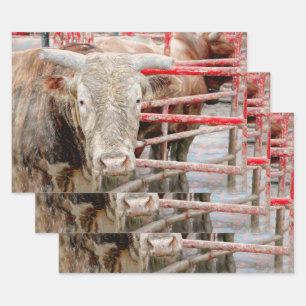 Rodeo Bull Rustic Western land Inpakpapier Vel
