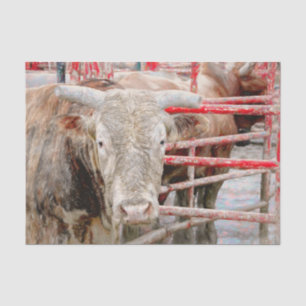 Rodeo Bull Rustic Western land Tissuepapier