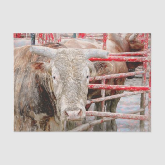 Rodeo Bull Rustic Western land Tissuepapier (Voorkant)