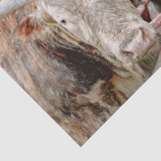 Rodeo Bull Rustic Western land Tissuepapier (Detail)