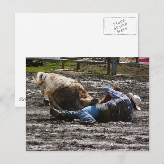 Rodeo Cowboy Steer Wrestling Briefkaart (Voorkant / Achterkant)