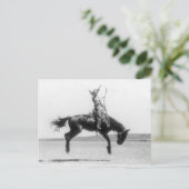 Rodeo Cowgirl op de foto van het paard Briefkaart (Staand voorkant)