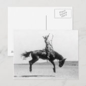 Rodeo Cowgirl op de foto van het paard Briefkaart (Voorkant / Achterkant)