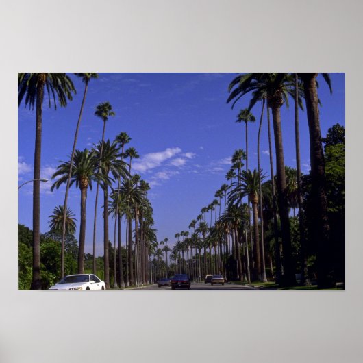 Rodeo Drive, Beverly Hills, Californië Poster (Voorkant)