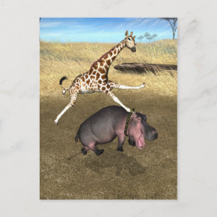 Rodeo Hippo Briefkaart