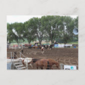 Rodeo Horses and Bulls Briefkaart (Voorkant)