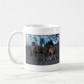 Rodeo Mare en Foal Koffiemok (Links)