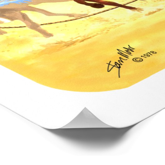 Rodeo Montage Poster (Hoek)