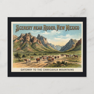Rodeo, New Mexico - Ossenrit Vintage Ansichtkaart Briefkaart