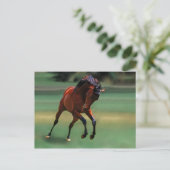 Rodeo paard voor de cowboy briefkaart (Staand voorkant)