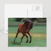 Rodeo paard voor de cowboy briefkaart (Voorkant / Achterkant)