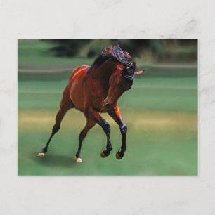 Rodeo paard voor de cowboy briefkaart