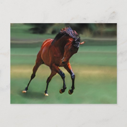 Rodeo paard voor de cowboy briefkaart (Voorkant)