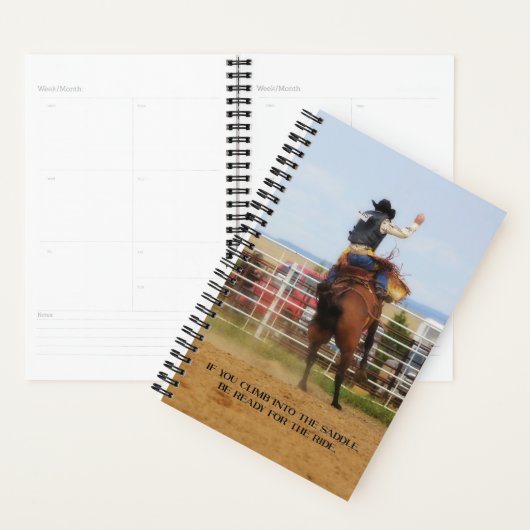 Rodeo Saddle Bronc Planner (Display)