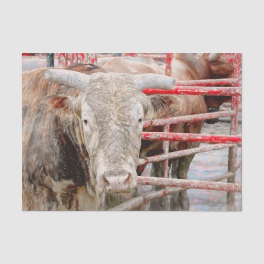 Rodeo Stier Rustiek Landelijk Westers Tissuepapier (Voorkant)