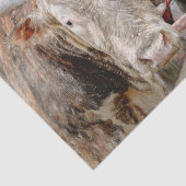 Rodeo Stier Rustiek Landelijk Westers Tissuepapier (Detail)