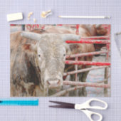 Rodeo Stier Rustiek Landelijk Westers Tissuepapier (Craft)