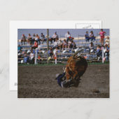 Rodeo-strijder van stier briefkaart (Voorkant / Achterkant)