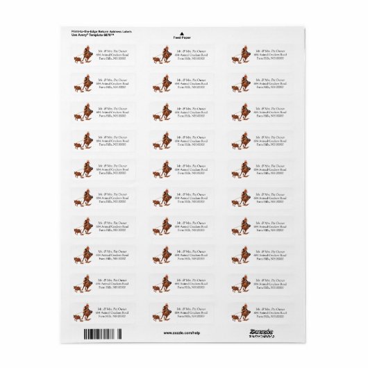 Rodeo Theme Return Address Label Stickers (Full Sheet)