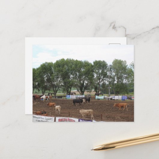 Rodeopaarden en stieren briefkaart (Voorkant / Achterkant in situ)