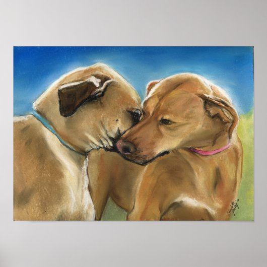 Rodesian Rigeback Dog Art Print (Voorkant)