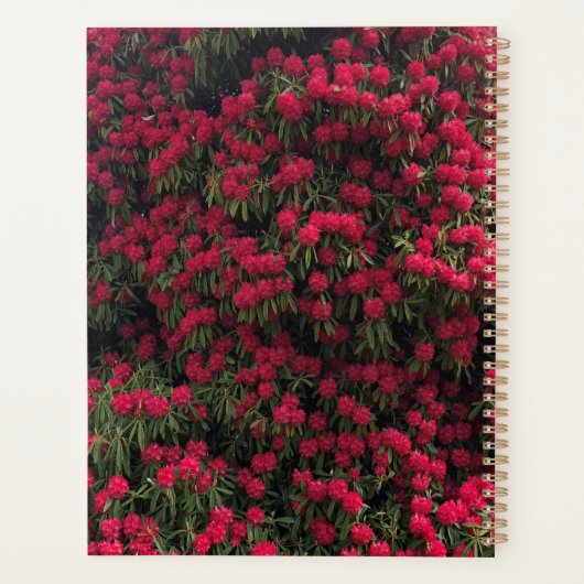 Rododendron in Bloom. Tuinieren Notitieboek (Achterkant)