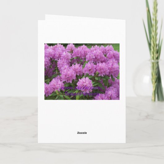 Rododendron, Vriend Kaart (Achterkant)