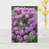 Rododendron, Vriend Kaart (Gele Bloem)